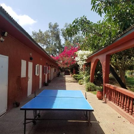 Ferme Hippique Chtouka Bed & Breakfast Dar Said Ben Hajj Exterior photo