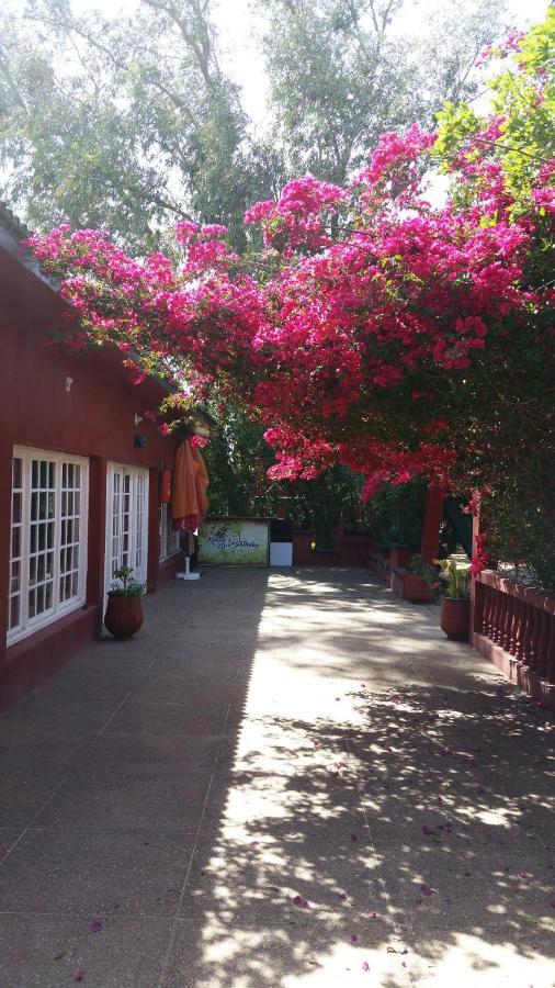 Ferme Hippique Chtouka Bed & Breakfast Dar Said Ben Hajj Exterior photo